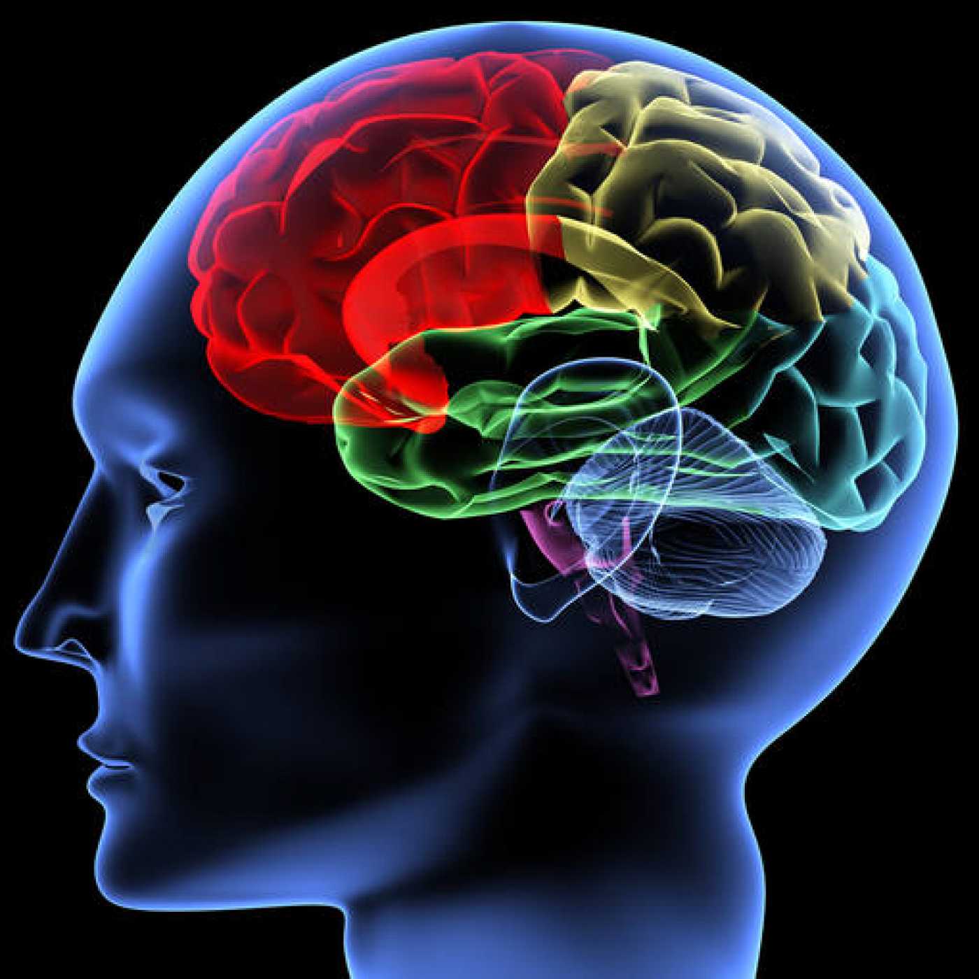 Adivinar el pensamiento ya no es cosa de magia ni de brujería, sino de tecnología (explica el neurocientífico español Rafael Yuste)